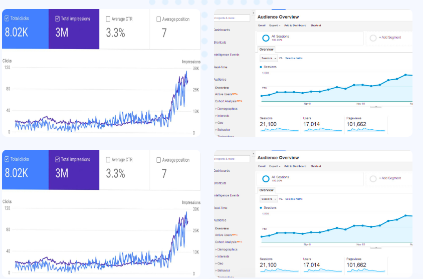 WHITE HAT SEO Results